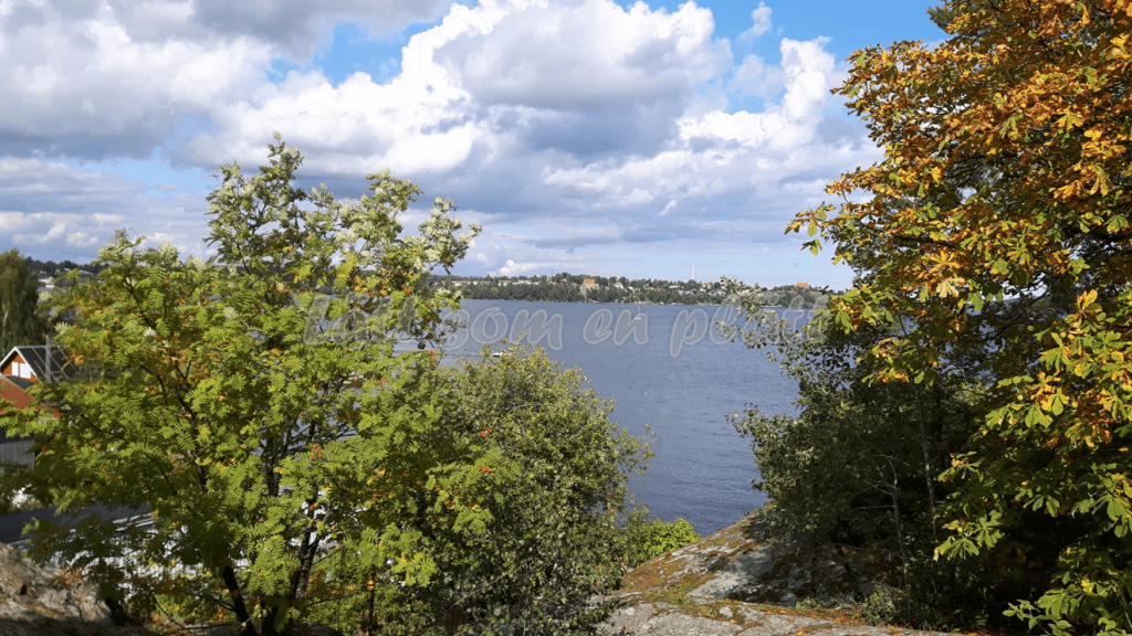 Fjäderholmarna view from the rocks