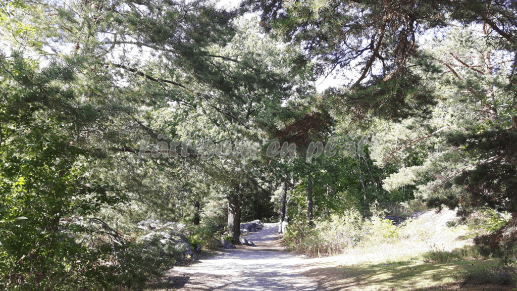 Fjäderholmarna walking path