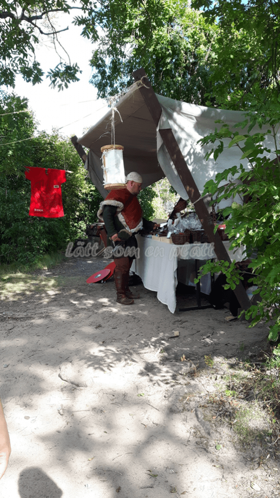 Viking festival 2016